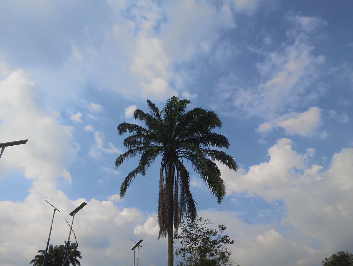 olem(⁠◕⁠ᴗ⁠◕⁠✿⁠) tweet media