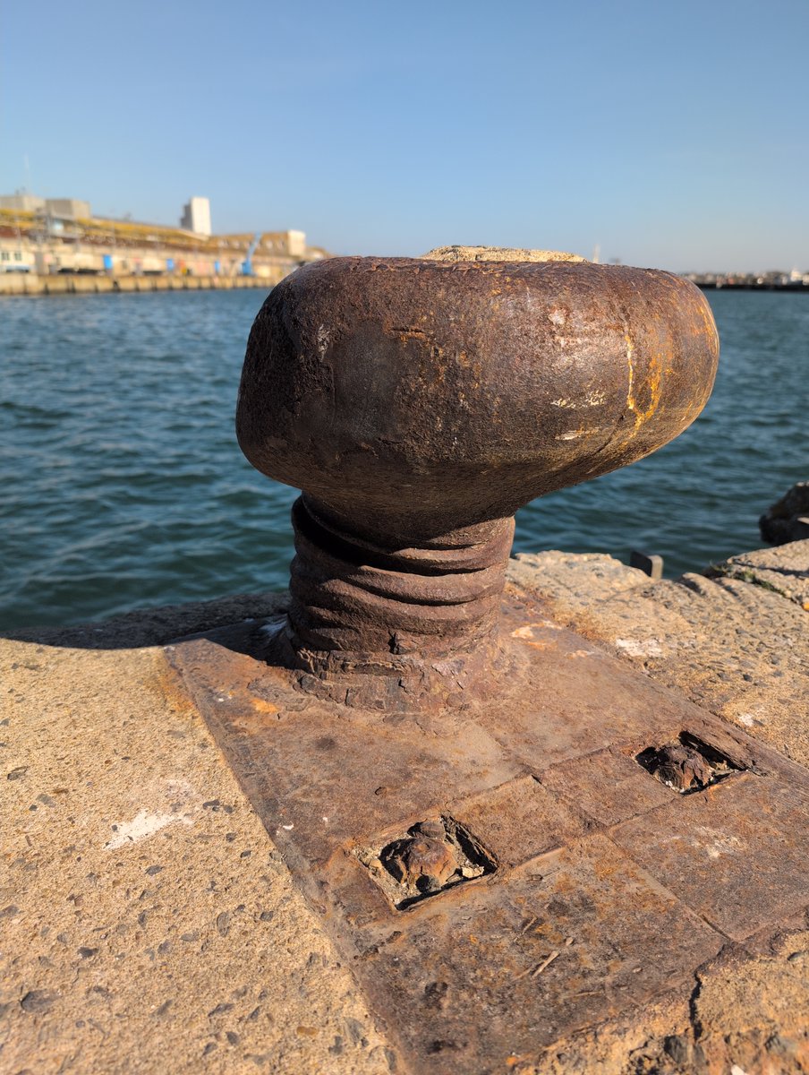 Une vieille bitte fripée ..