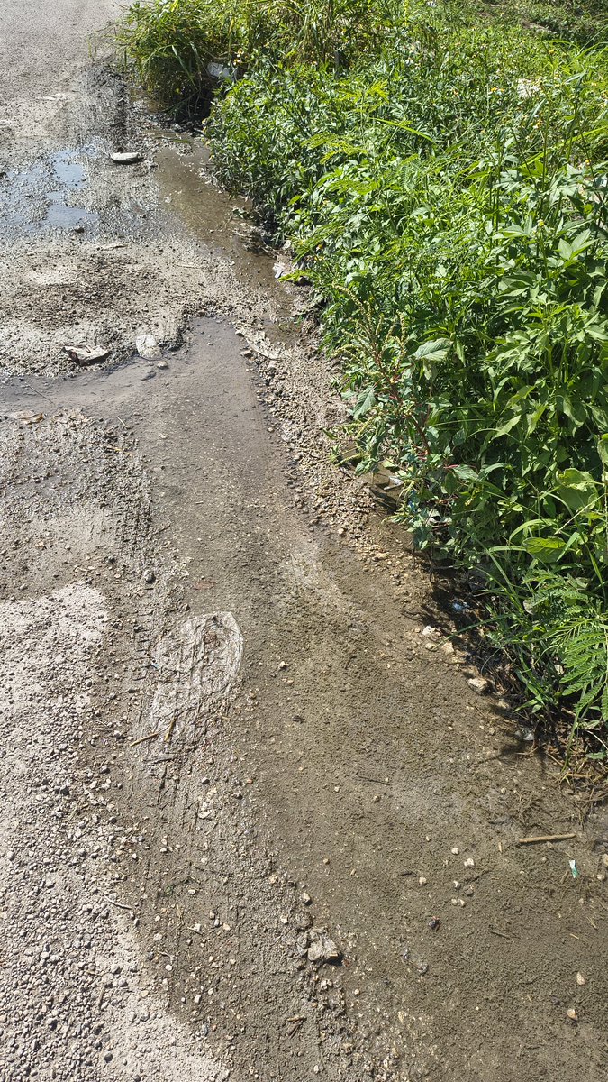 bisoph_as's tweet photo. Llevo meses yendo al módulo de la @JAPAYOficial para que me arreglen estos baches. El apeste es horrible, que necesitamos hacer para que tomen cartas en el asunto @huachodiazmena @gobiernoyucatan @CeciliaPatronL 
#meridanotanblanca #merida #visitmerida https://t.co/ZEUxUNCzly