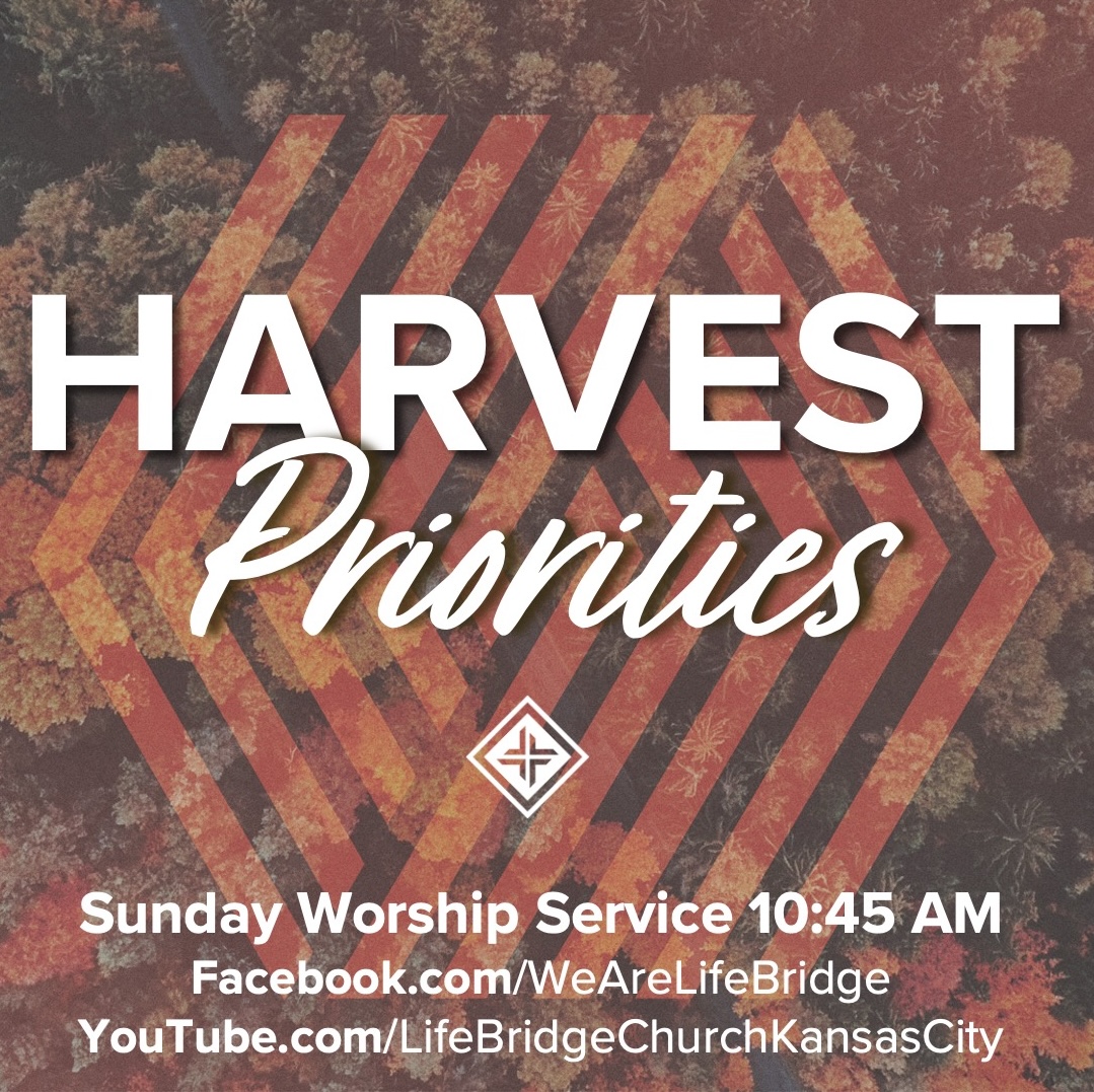 WeAreLifeBridge's tweet photo. Jesus was moved to  action in God's harvest because He fully loved God and the lost more  than Himself. Find out  how you can do the same and overcome the temptation to love partially  instead of fully.

Read Matthew 9:35-11:1 to prepare your head and heart. https://t.co/8yRm1IUwQR