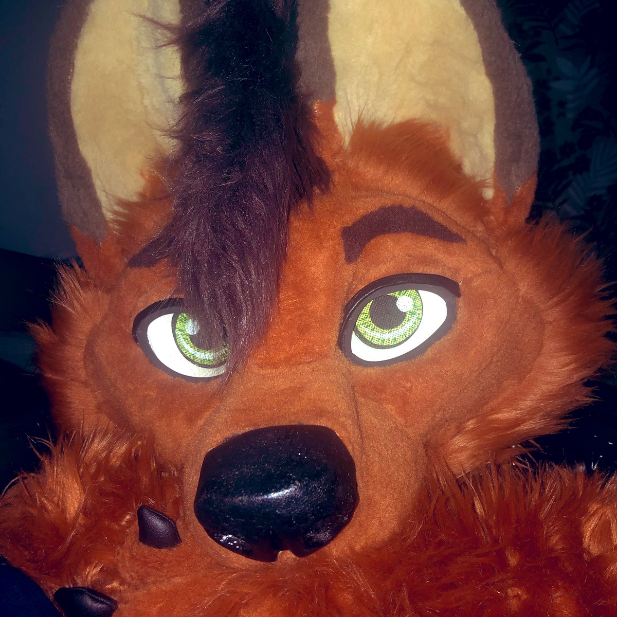 Peekaboo! It’s spooky month. I’m here to keep you safe! 

#FursuitFriday