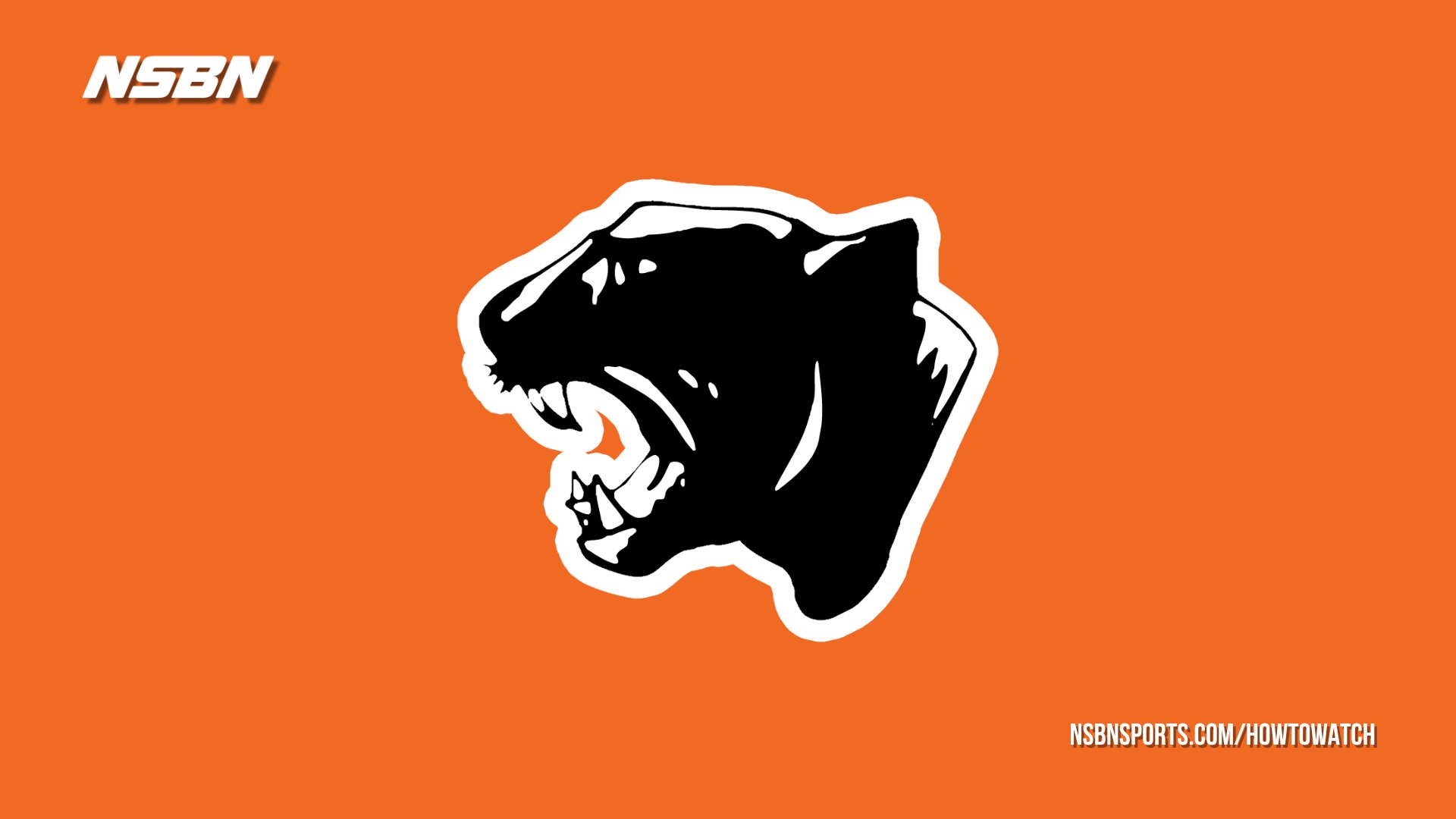 Game Info, Preview, Broadcast Links, Ticket Info; Sand Creek High Aggies vs. Stockbridge High Panthers