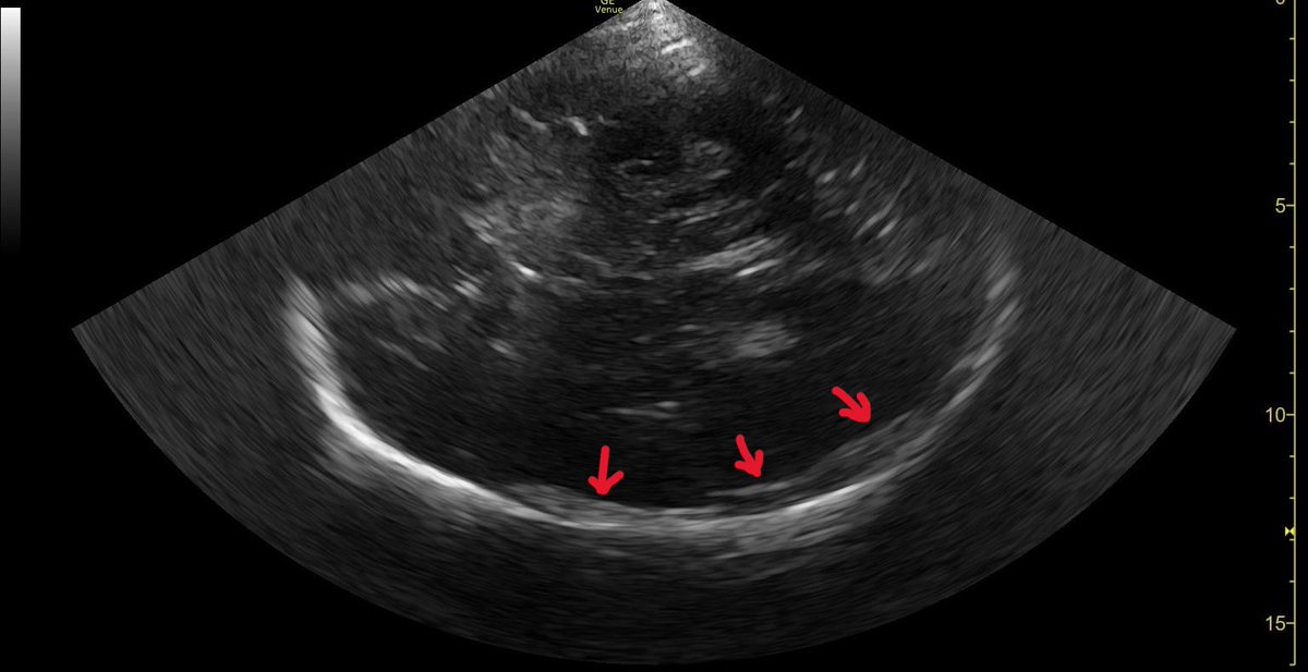 Mohan Sai Gudela, DM tweet media