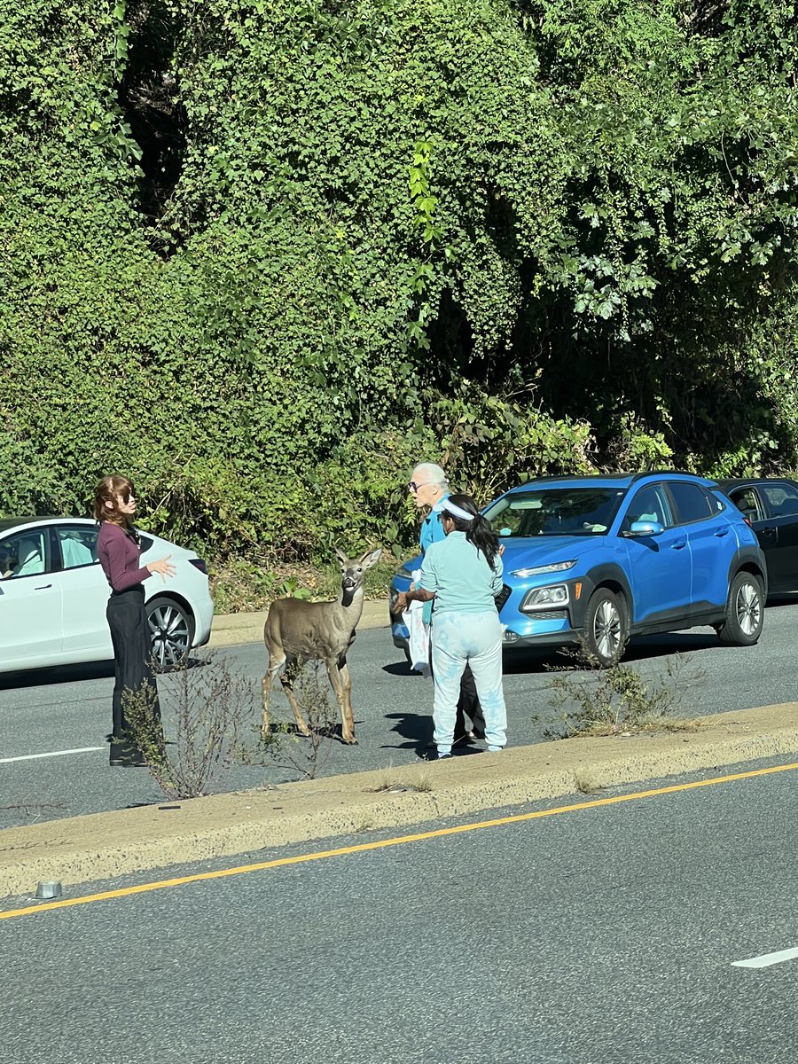 Friday afternoon chats on Route 50.