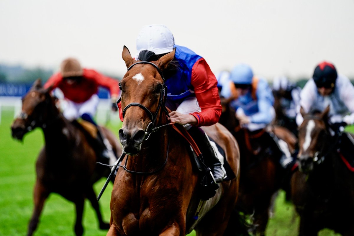 Car Colston Hall Stud tweet media