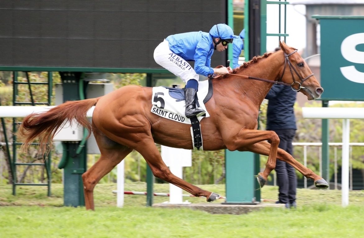 Car Colston Hall Stud tweet media