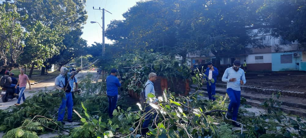 Continuarán los trabajo de poda y embellecimiento en el Reparto Pueblo Griffo, <a href="/EtecsaCfgos/">Comunicador ETECSA Cienfuegos</a> es imparable 💪#EtecsaConCuba 
Fotos: <a href="/alexeycuba746/">alexey martinez</a> 
<a href="/MiguelASurezSa2/">Miguel A. Suárez Sabina</a>  <a href="/Irenaldo5/">Irenaldo Cruz Lopez</a>