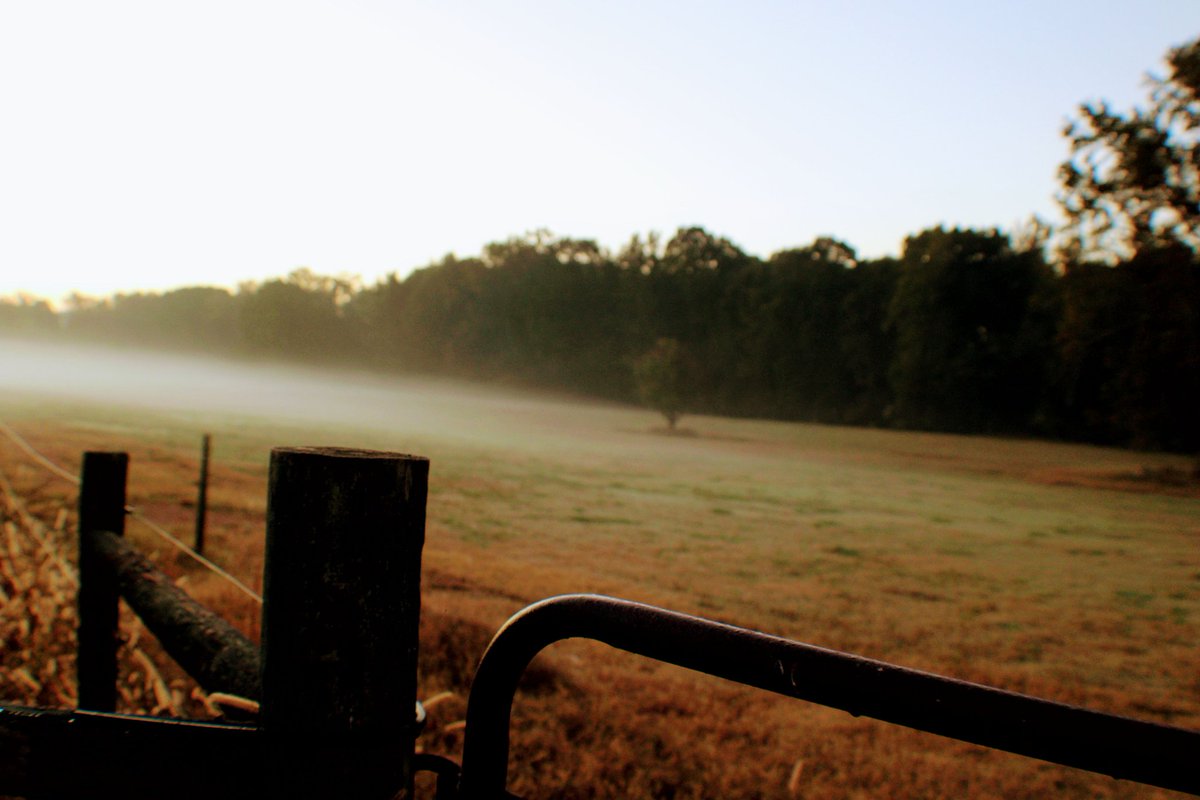A moment of inspiration #photographer #sunrise #time