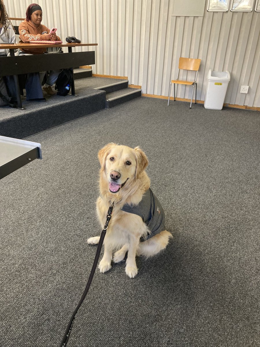 At this point in the semester, I am just shamelessly doing anything to get my students to attend lectures!