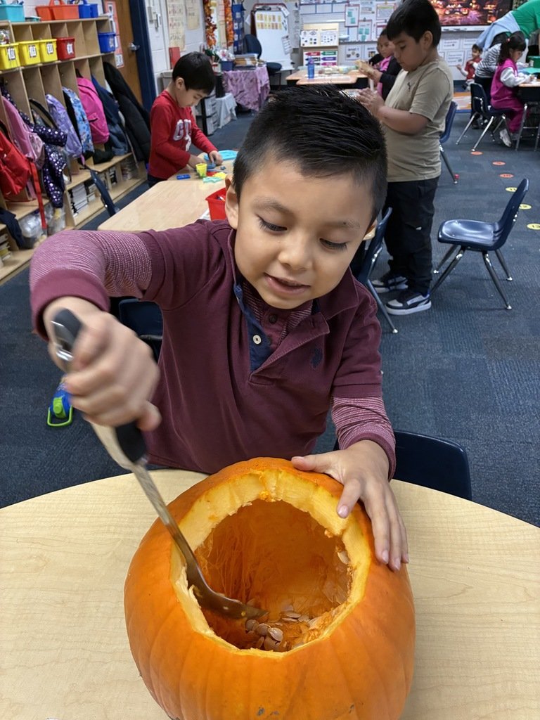 Ms. Land’s class had a super fun day carving pumpkins! Awesome job Ms. Land’s class!

¡La clase de la Sra. Land se lo pasó genial tallando calabazas! ¡Excelente trabajo, clase de la Sra. Land!