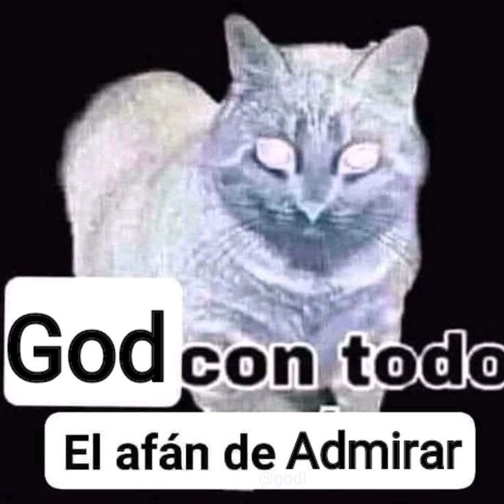 Joder me llena de orgullo ver que mí aprendiz finalmente está poniendo en práctica todo lo que le enseñe 🥲