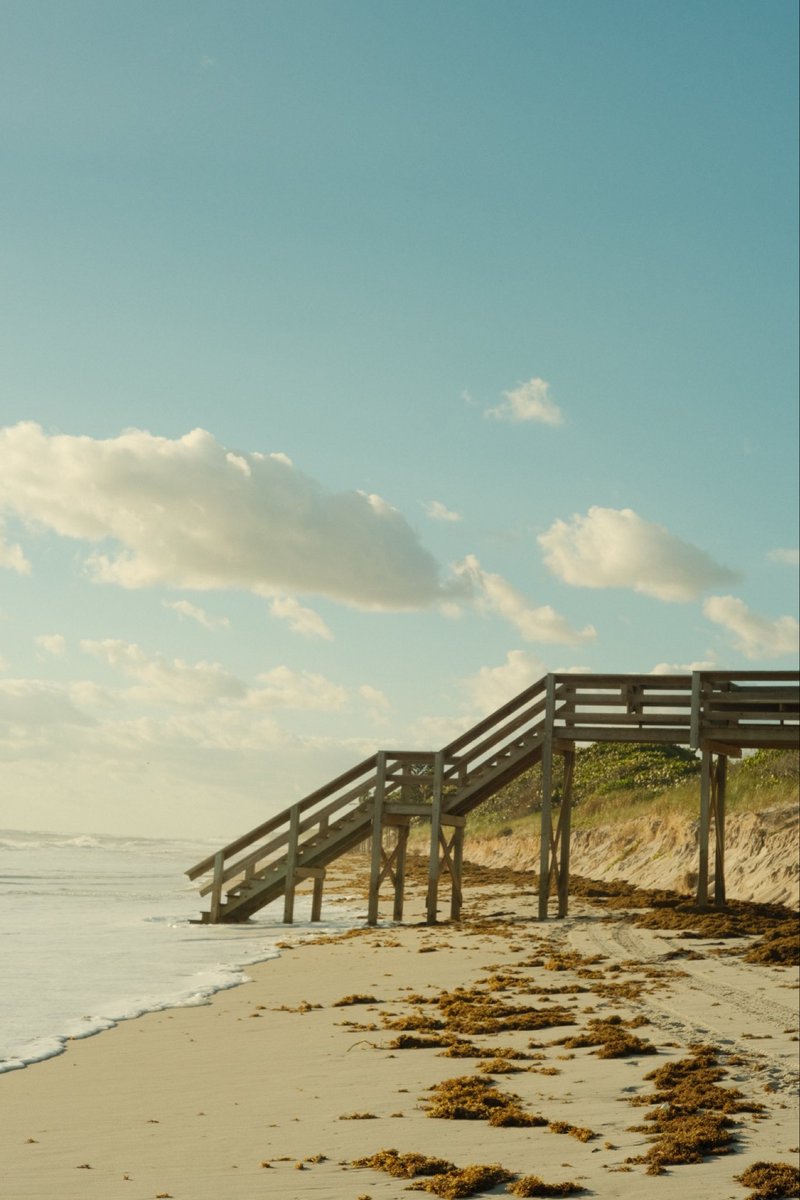 Anthony 🔱🇵🇷 tweet media