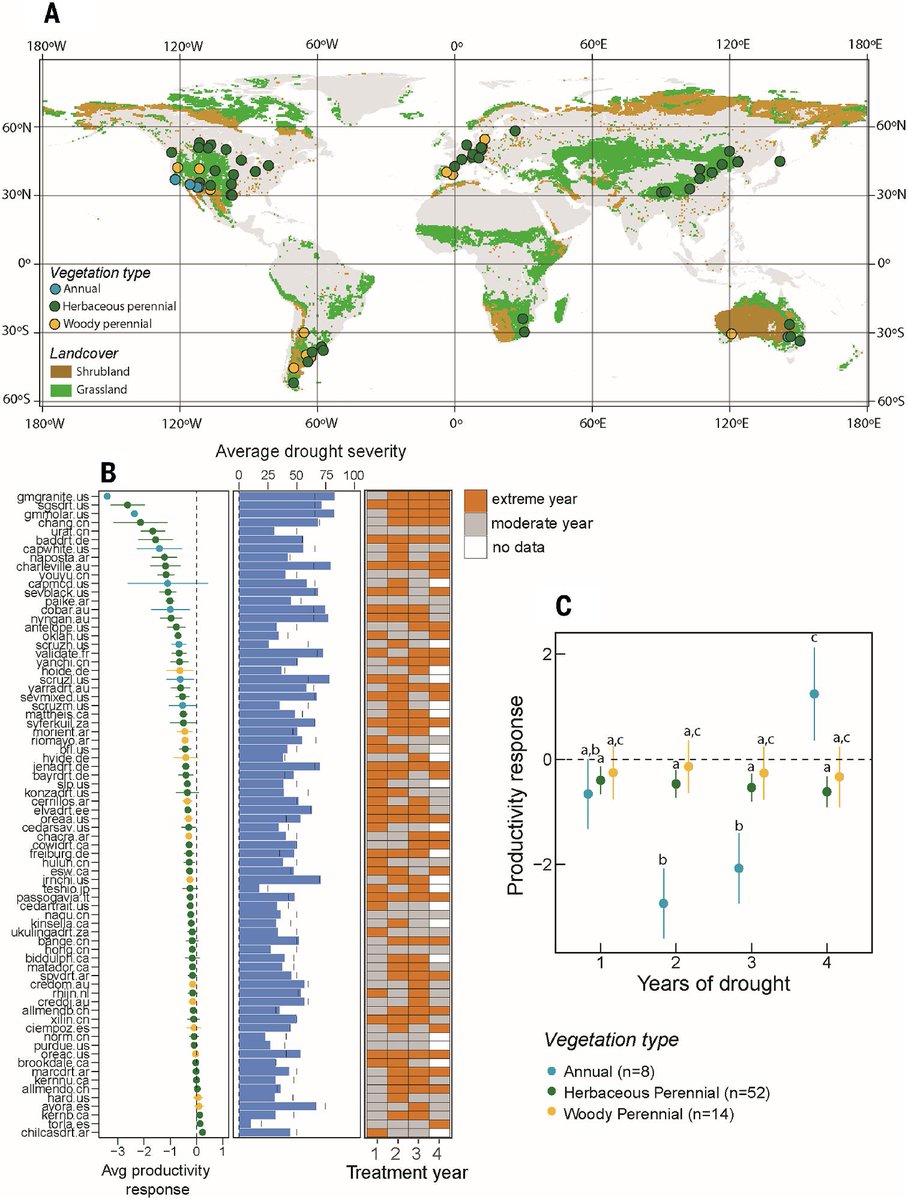 Although many ecosystems can weather several years of moderate drought, consecutive years of extreme dryness push them past a tipping point, resulting in dramatic declines in plant growth, researchers report in Science. 

The findings reveal threats to Earth’s grasslands and