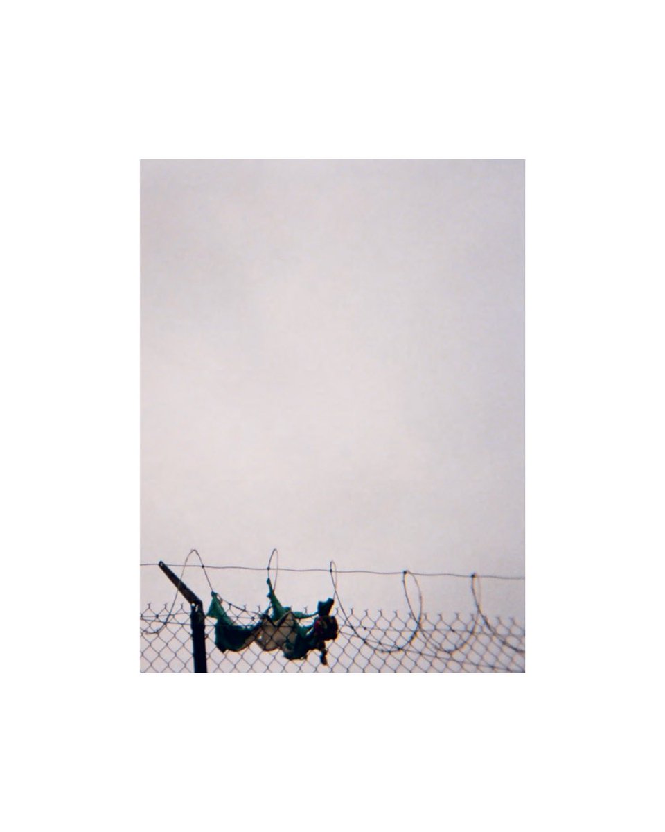 futurepoem tweet media