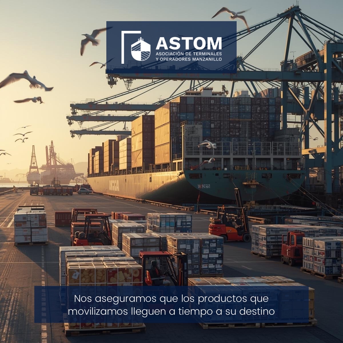 astom_mx's tweet image. En cada momento, la eficiencia y competitividad que caracterizan al Puerto de Manzanillo aseguran que los productos que movilizamos lleguen a tiempo a su destino.

#SomosASTOM #RedDeProgresoPortuario #SomosManzanillo #PuertoDeManzanillo #Logística #Terminales #Conectividad…