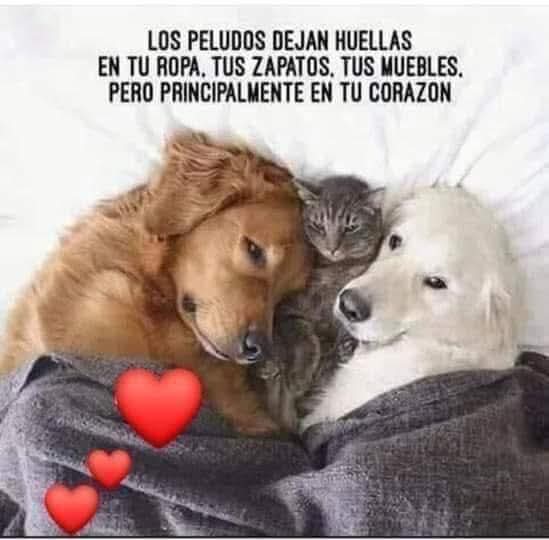 Monica Tovar (@monitovar2016) on Twitter photo 