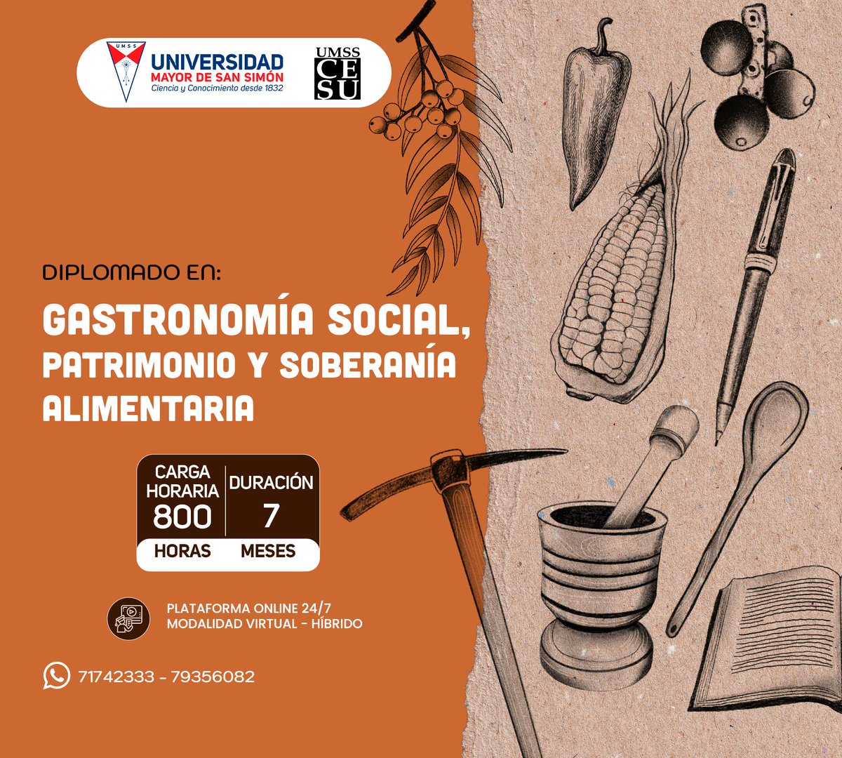CESU_UMSS's tweet image. 🎓 ¡Inscríbete al Diplomado en Gastronomía Social, Patrimonio y Soberanía Alimentaria! 🌱
📌 Modalidad: Híbrida (Virtual + Presencial)
🕘 Carga Horaria: 800 horas académicas
💰 Inversión: Bs 3.600
📅 Inicio de clases: 10 de noviembre de 2025
📞 Contacto: 79356082