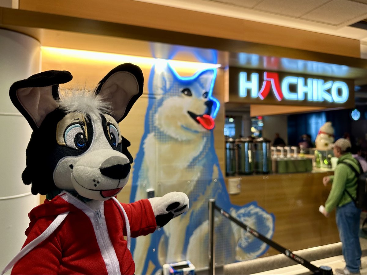 Quick stop at Hachiko!