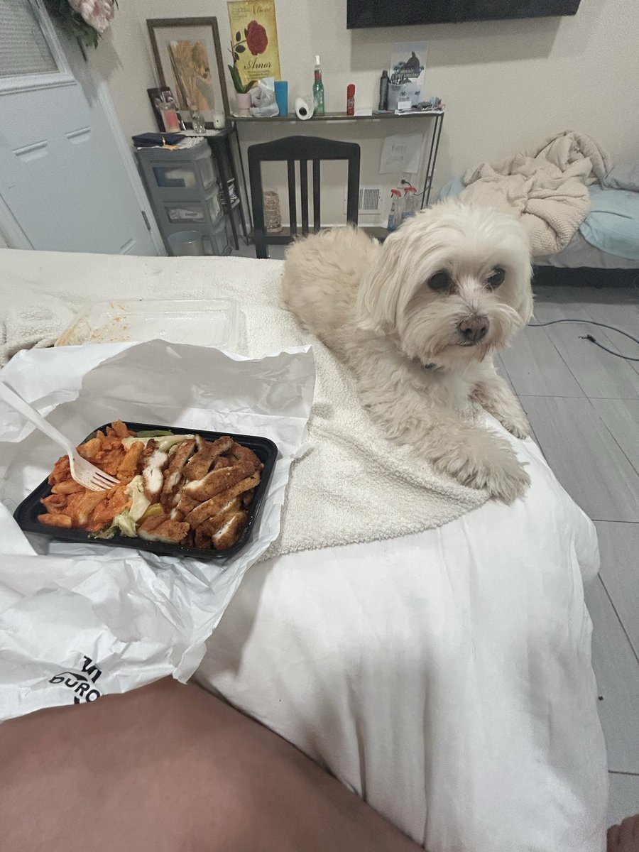 SEN Flamay tweet media