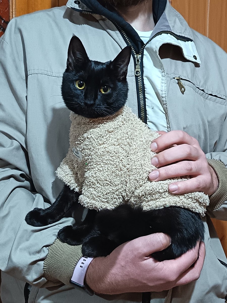 pedowan🇲🇩 (@pedowan1) on Twitter photo 