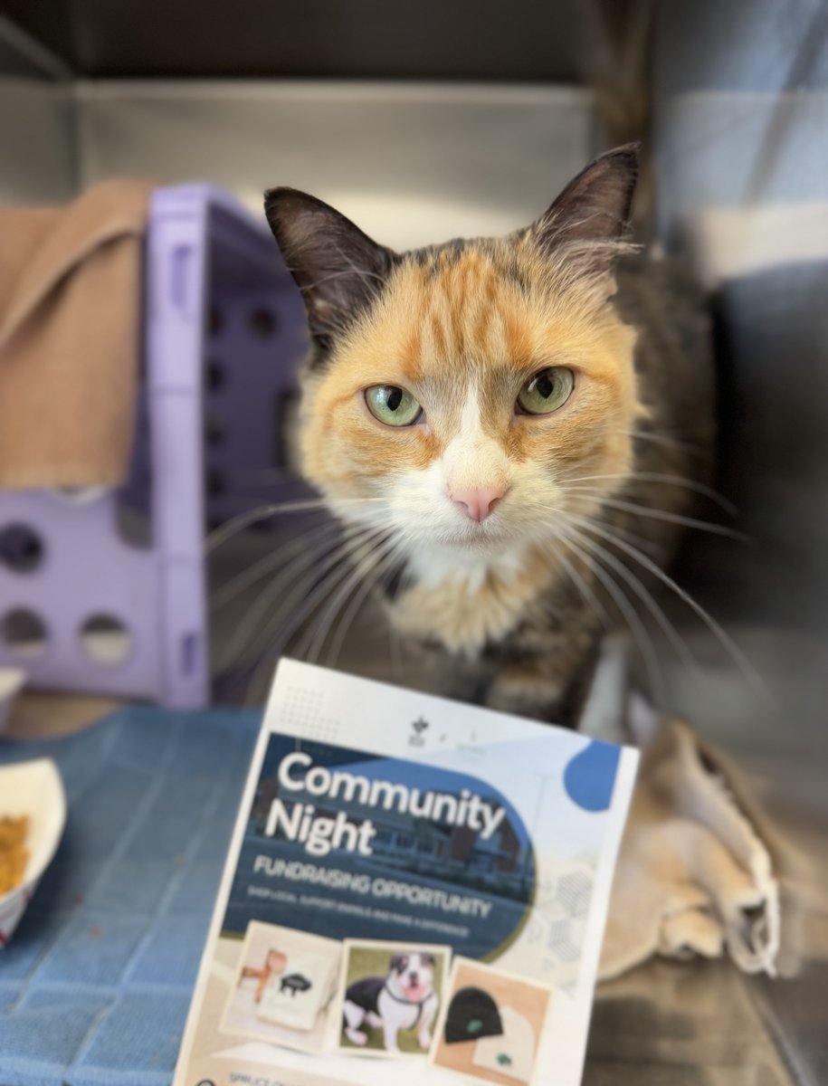 Support the SPCA while you shop! We’re excited to be part of the Spruce on Main – Kenmore Community Event! On Oct. 21, from 10 a.m. to 5 p.m., 20% of sales will be donated back to the SPCA when you show our special event flyer. You must pick up a flyer first to participate!