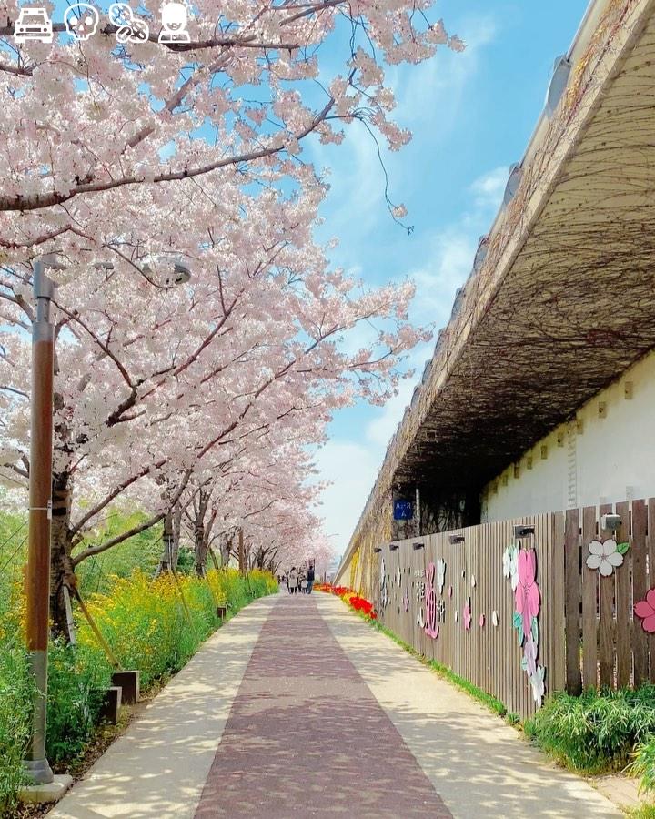 One day, healing is messy but necessary and that’s how you grow. #c7e4f1👮🧆