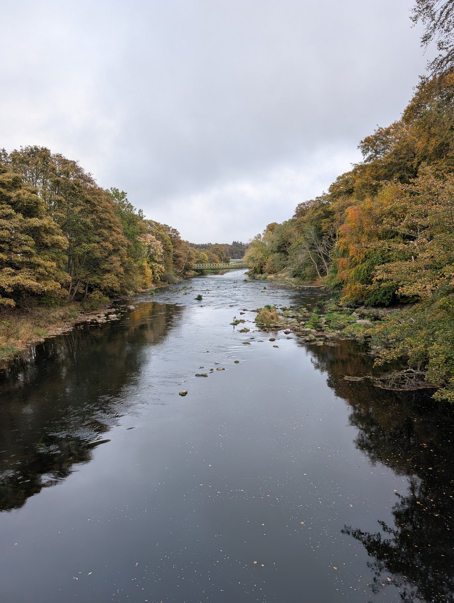 laura ♌ tweet media