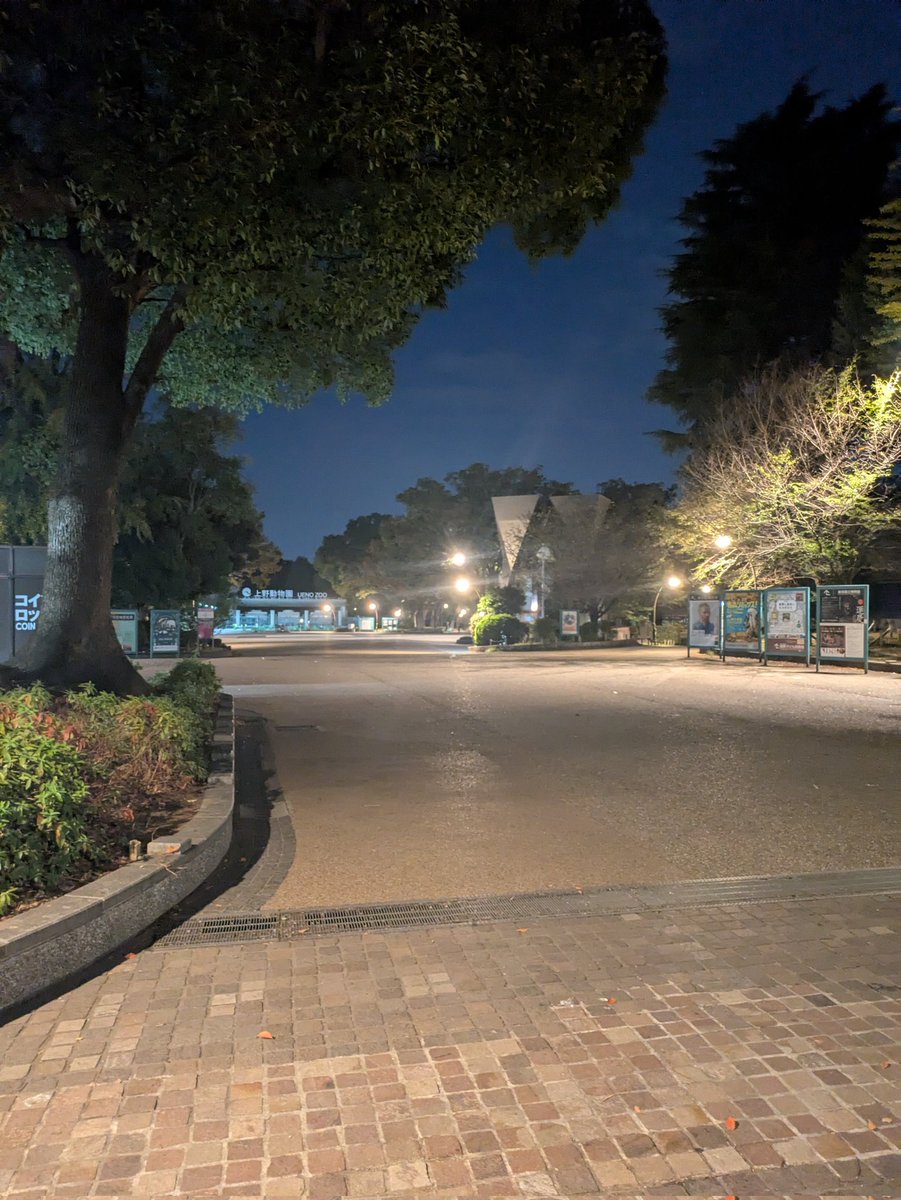 山ページ　27.0㎝ マウンテン弐号 on X