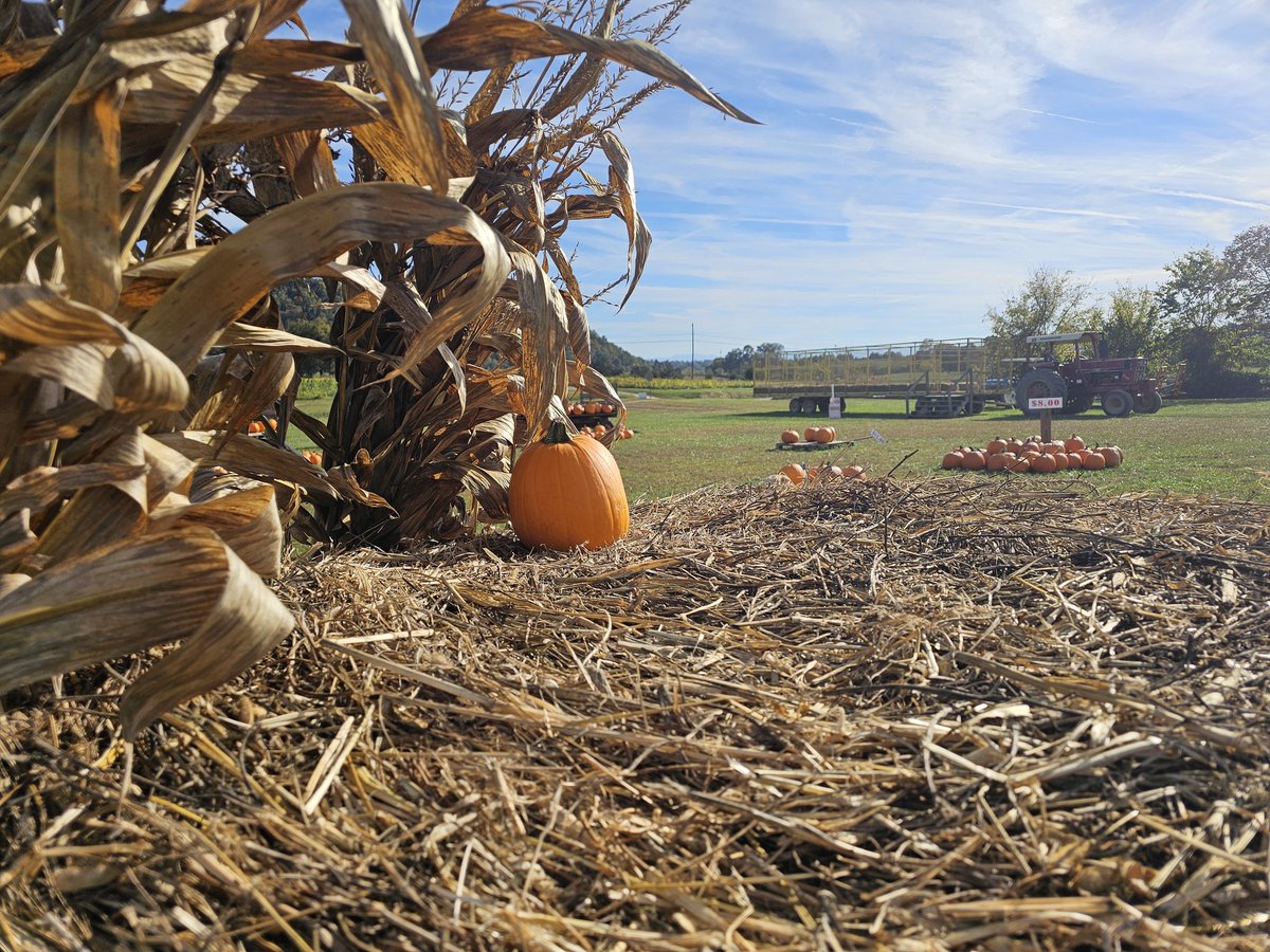 Night #2 Myers Pumpkin Patch! Join us out at the farm today any time from 4-9PM for an evening of Fall Fun! We'll be here through the weekend from 4-9PM each night.