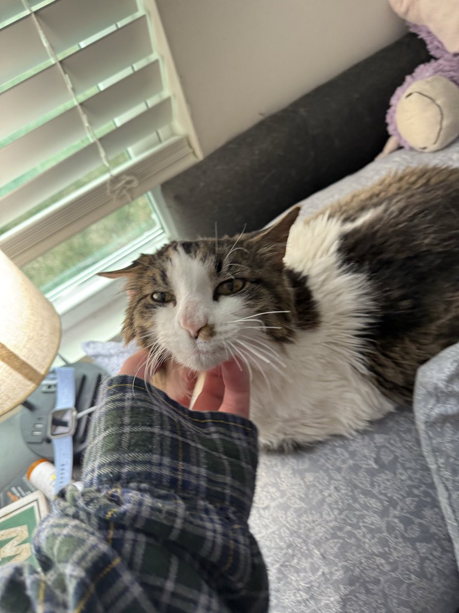 chewberts's tweet image. how do i tell her im going to my friends house