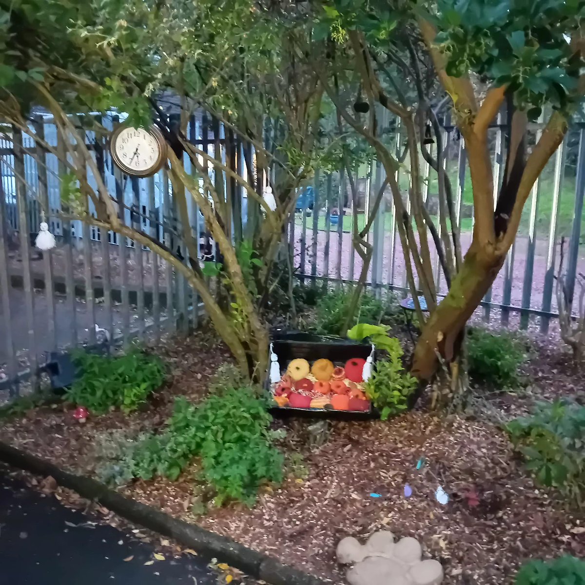 Blooming Inverkip tweet media