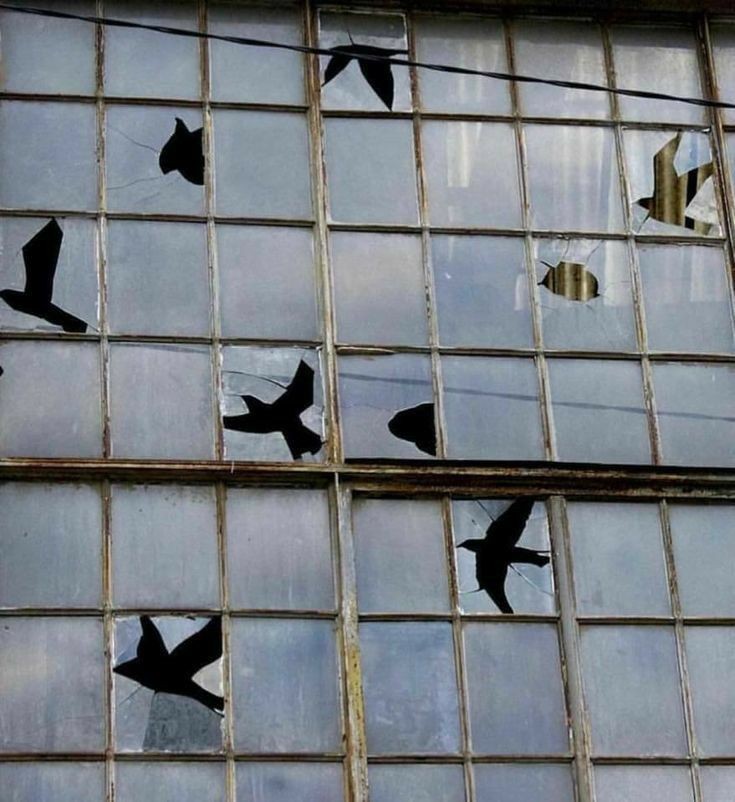 “Hiçbir şeye şaşırma, hakikatin de insanların da iki yüzü vardır.”

Amin Maalouf | Semerkant