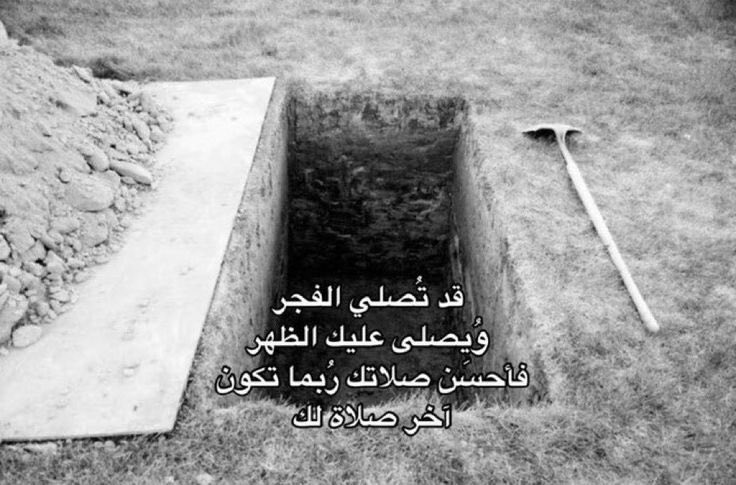 𝘪𝘣𝘳𝘢𝘩𝘪𝘮 (@ili1r) on Twitter photo 