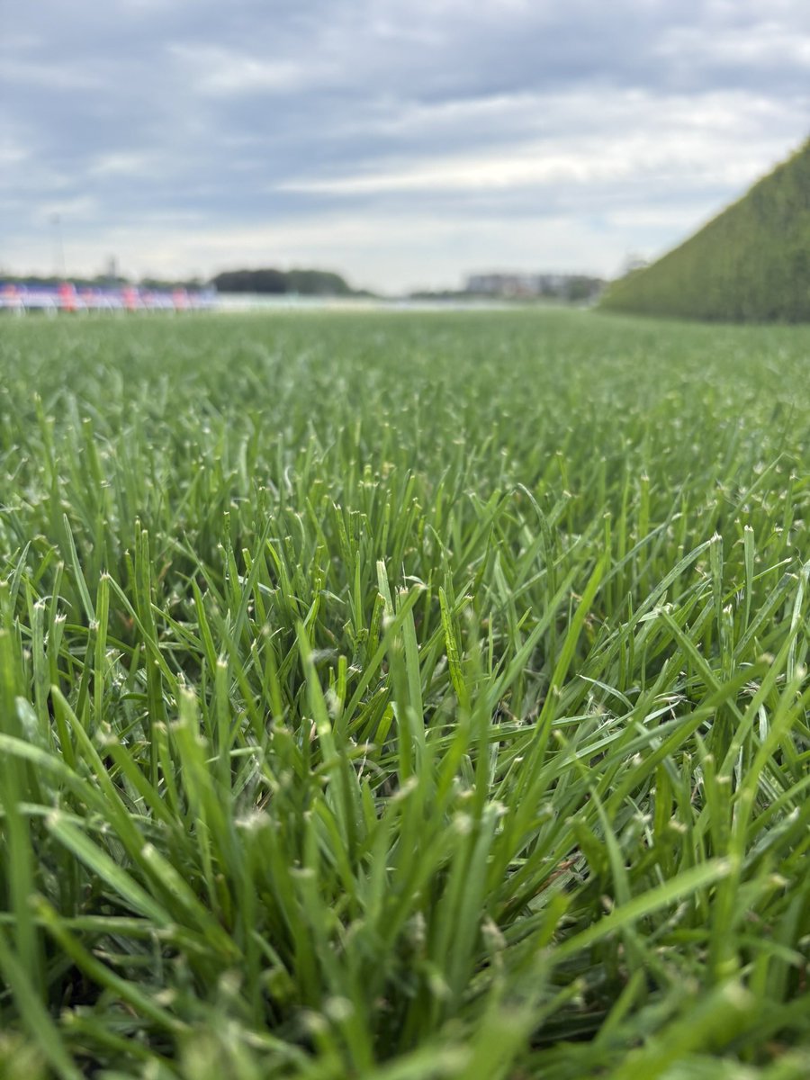 Australian Turf Club tweet media