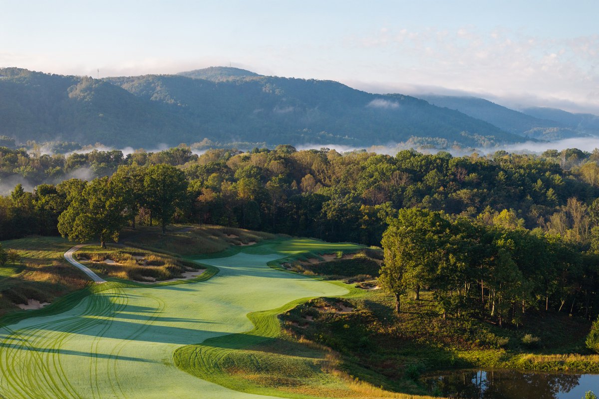 Ballyhack Golf Club tweet media