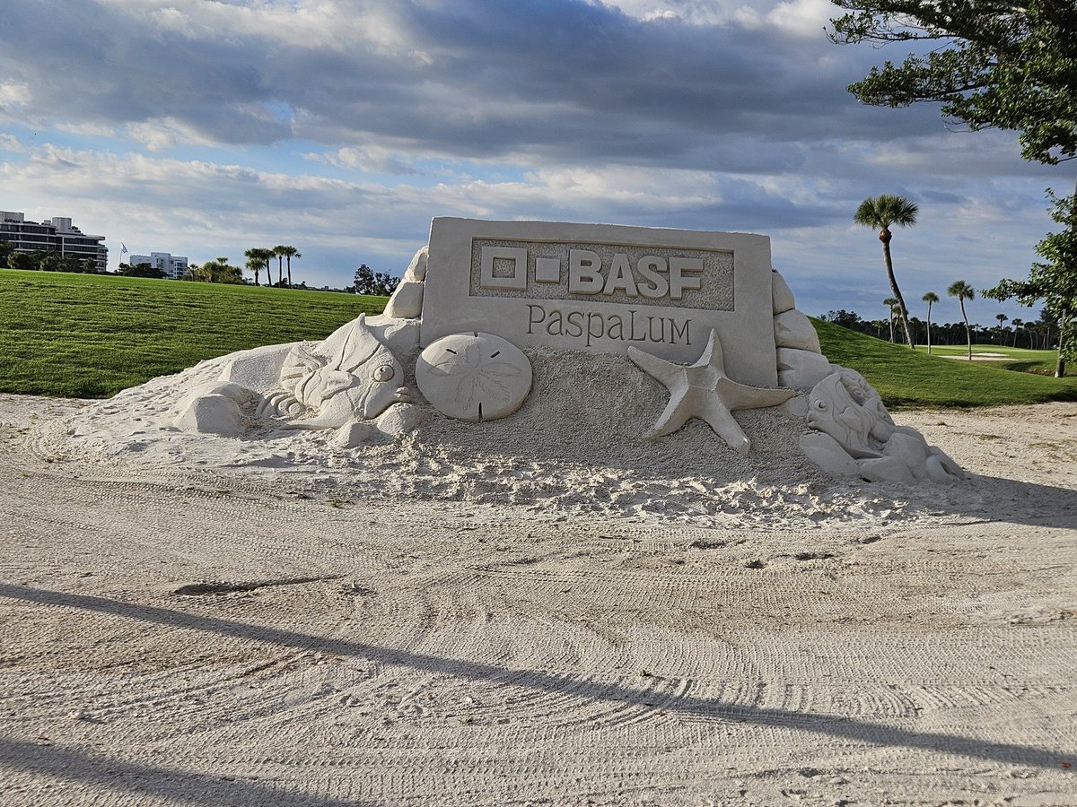 Bruce Allison tweet media