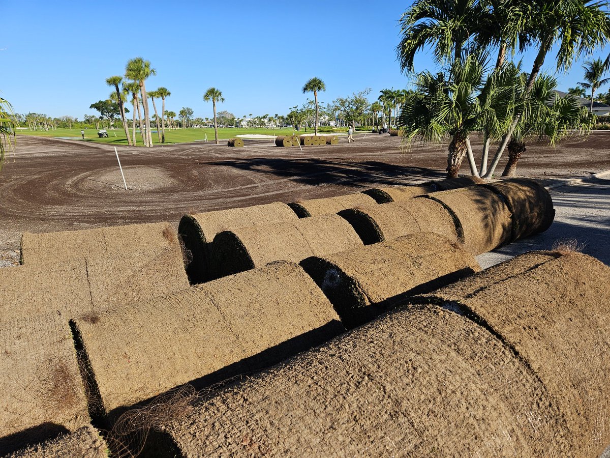 Bruce Allison tweet media