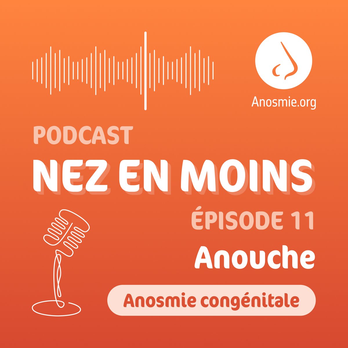 Podcast NEZ en Moins
- Saison II
- Épisode 11
- Anouche - anosmique congénitale
anosmie.org/podcast/