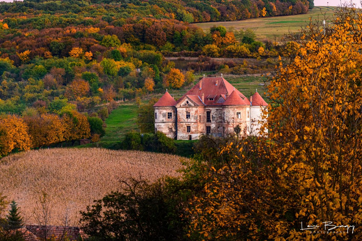 Travel_2Romania's tweet photo. Toamnă superbă la Ozd (Mureș) - octombrie 2025, România
Castelul Radák- Pekri kastély
📷levibagyphotography #ozd #ozdcastle #visitmures
Visit Mures
TVR Târgu Mureş
https://t.co/3rvsyxweAA
Erdély TV https://t.co/oaROLHvAst