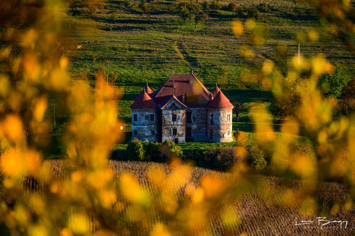Travel_2Romania's tweet photo. Toamnă superbă la Ozd (Mureș) - octombrie 2025, România
Castelul Radák- Pekri kastély
📷levibagyphotography #ozd #ozdcastle #visitmures
Visit Mures
TVR Târgu Mureş
https://t.co/3rvsyxweAA
Erdély TV https://t.co/oaROLHvAst