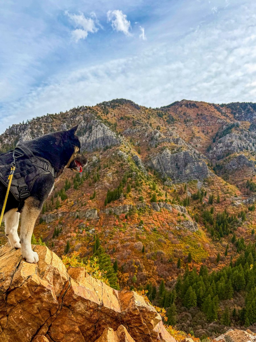 V_irvin_V's tweet image. 