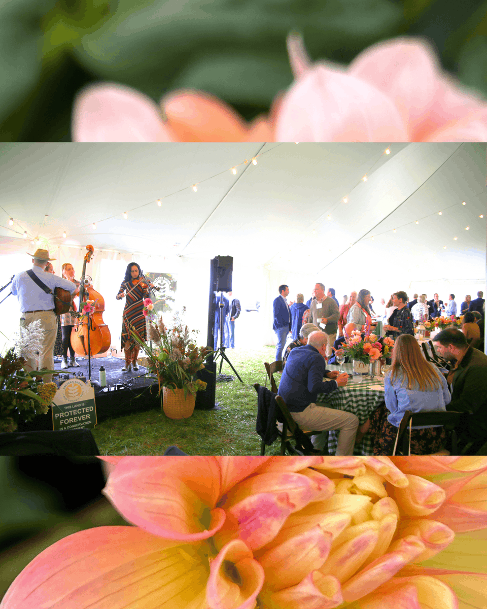 Eastern Shore Land Conservancy tweet media