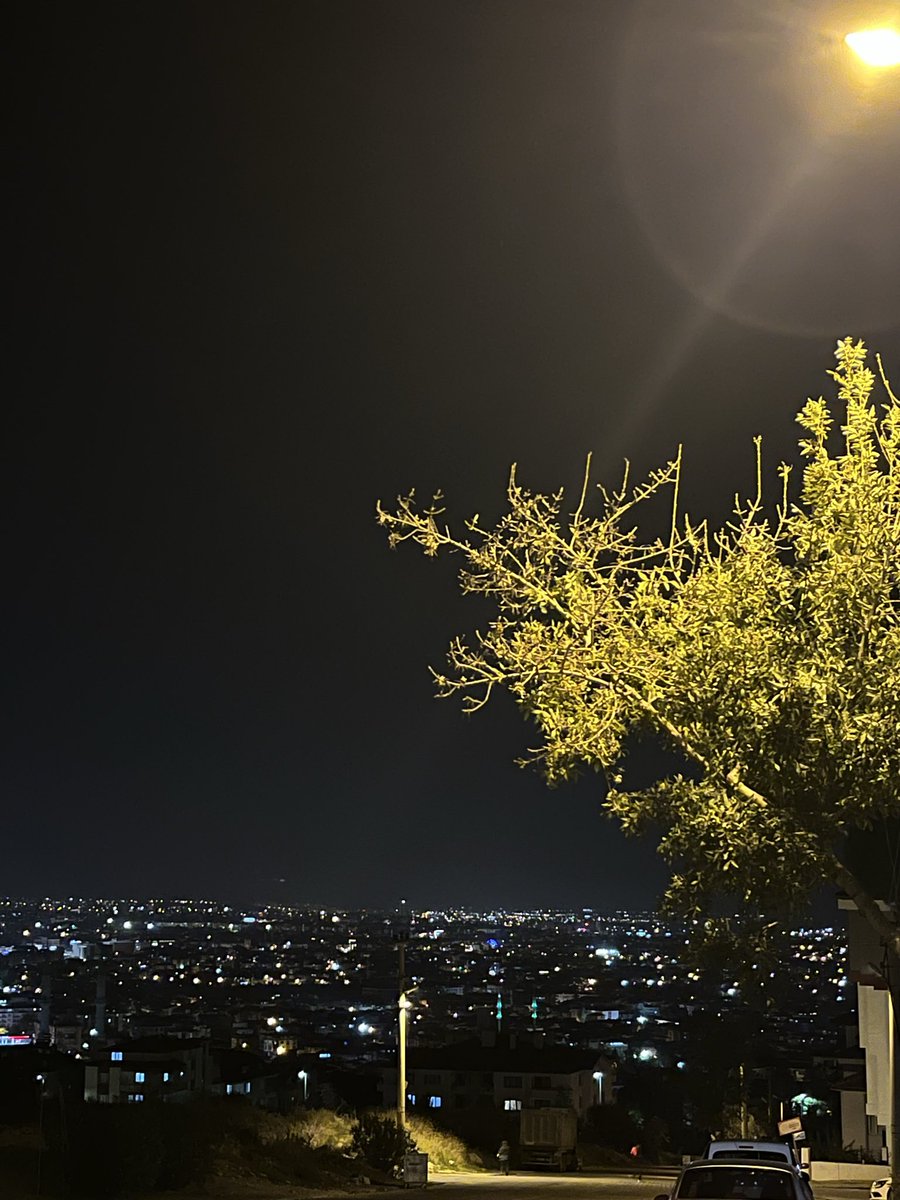 Bu şehir beni boğuyor