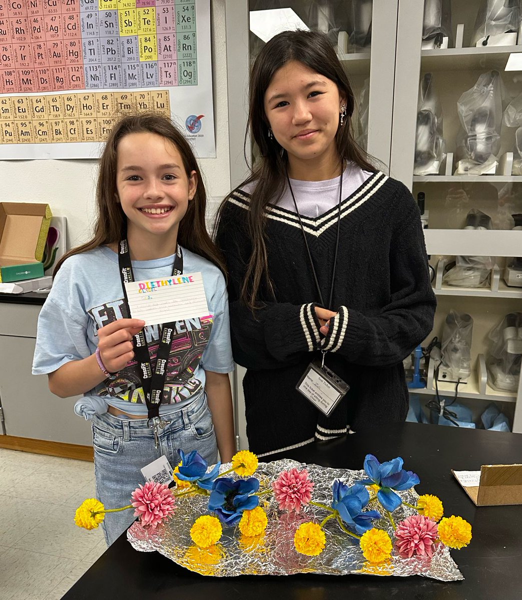 CreekValleyMS's tweet photo. Dr. Gellerโs 7th grade Honors Science students were showing off and sharing about their โHomemade Moleculeโ projects! Great job everyone!!! #prideinside https://t.co/4exrGMfNuh