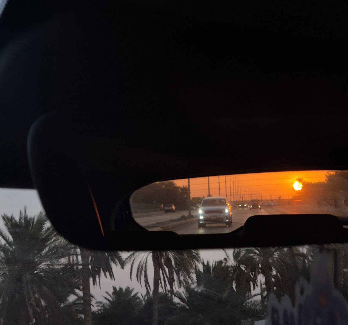 F.M.A tweet media