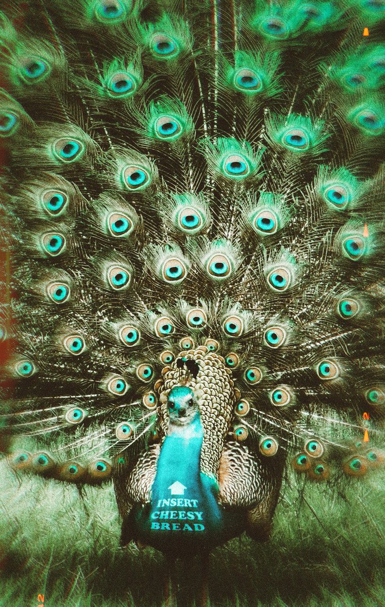 Explain this Atheist. I am a wildlife photographer from Fofonia and this is my photo