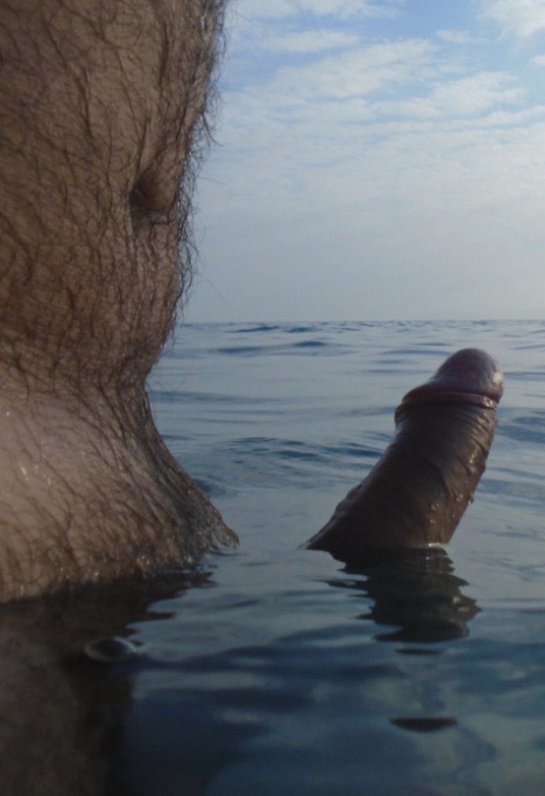 A̴N̴I̴M̴O̴T̴I̴C̴ tweet media