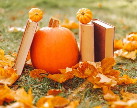 AddisonPubLib's tweet image. Fall is here, and Halloween is just around the corner! Whether you like scary movies, or prefer cozy crafts, APL has something for you.
Check out our recommendations for what to watch, read, and do during spooky season: addisonlibrary.org/news/spooky-se…
