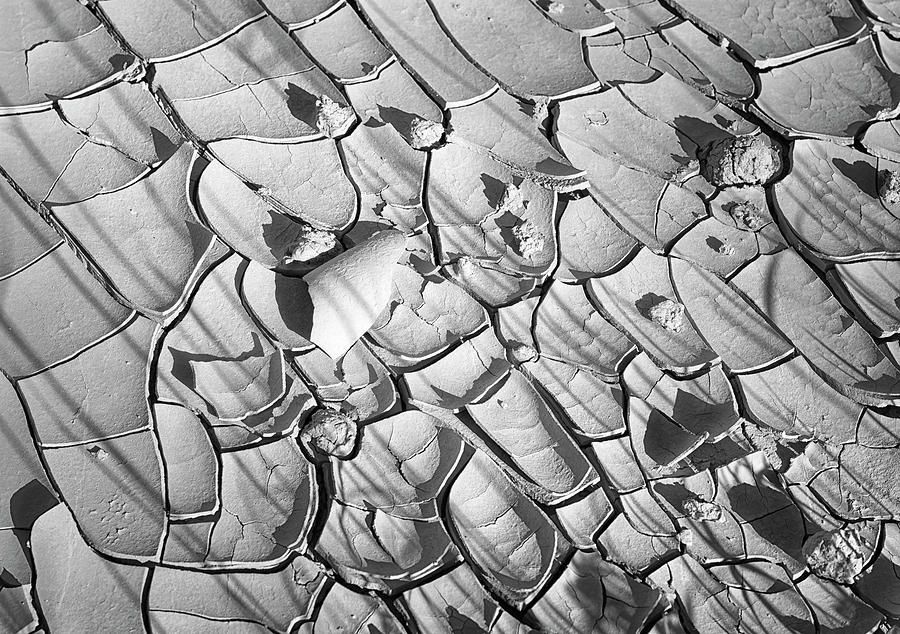 joancarroll's tweet photo. Cracked Earth Abstract https://t.co/zUuviAJlFn #blackandwhite #blackandwhitephotography #cracked #abstract #earth #dried @joancarroll https://t.co/Bwp1AMfv6H