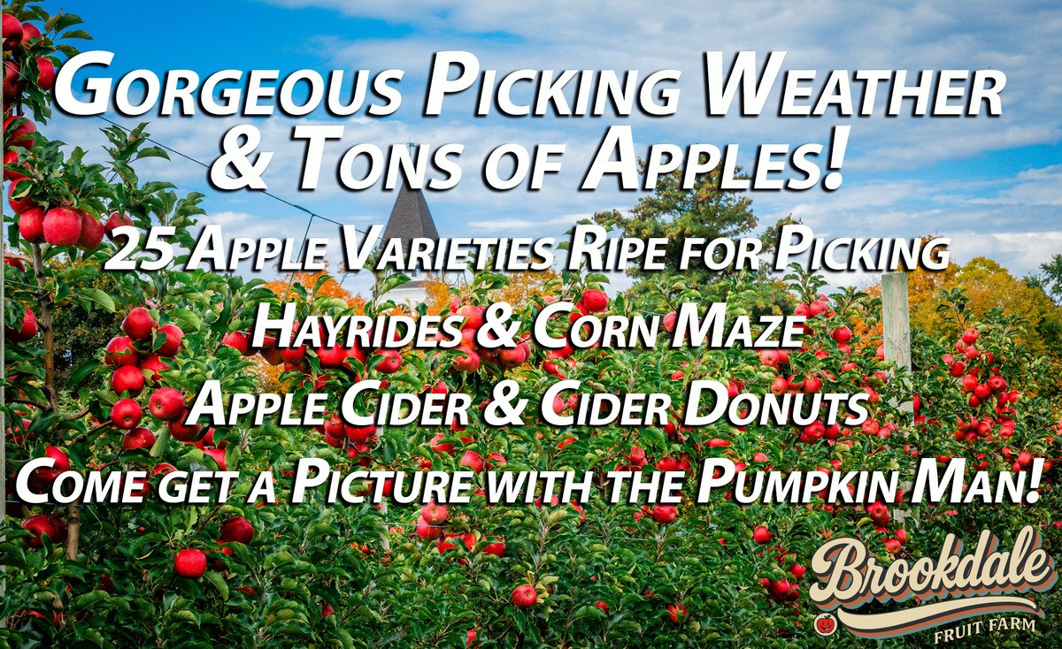 BrookdaleFarms's tweet photo. 🍎🌟 NEW APPLE UPDATE! 🌟🍎
25 varieties now picking at Brookdale — incl. Ludacrisp, EverCrisp &amp; Rosalee! 🙌
Come for 🍏 apples, 🌽 maze &amp; hayrides, 🌻 flowers, 🎃 Pumpkin Man &amp; 🍖 BBQ!
📍 Hollis, NH | Daily 8–6
👉 https://t.co/IrCNecXnne https://t.co/Dt2NqkspBO